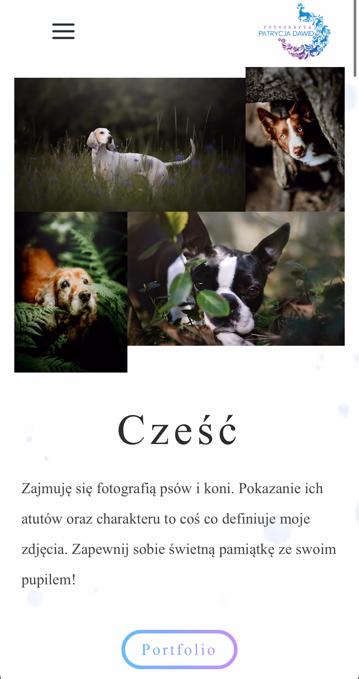 Strona Patrycja Dawid na telefonie